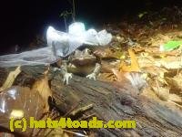 /home//u458753944/public_html/sourcegallery////////////////McKaig Nature Center/2024-09-27/P9271590.JPG